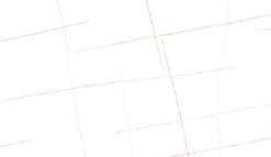 s 8001 laurenplatino